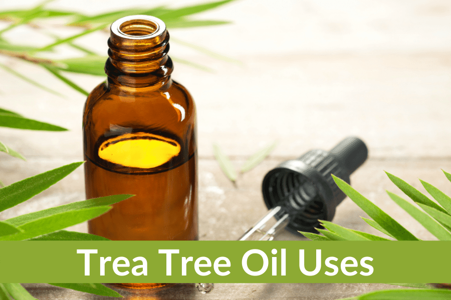 Tea Tree Oil Benefits