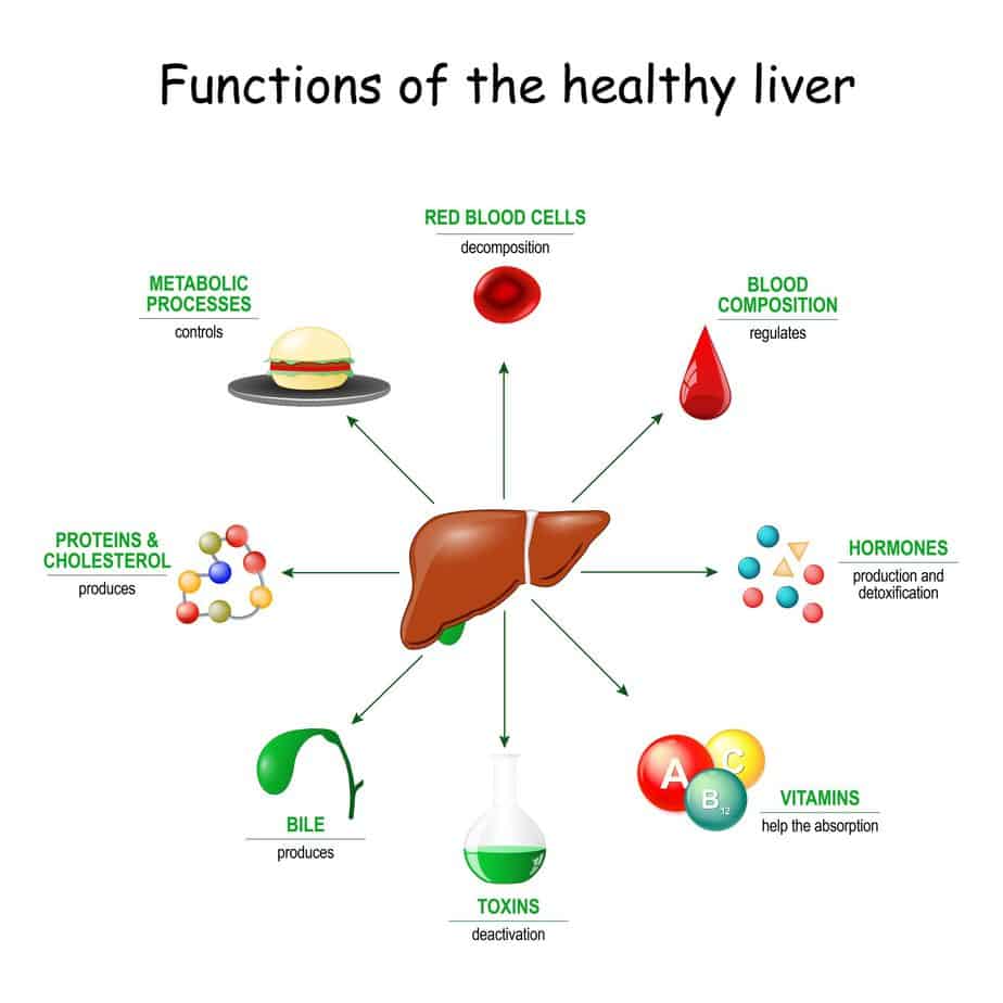 9-best-ways-to-improve-liver-function-natural-and-effective