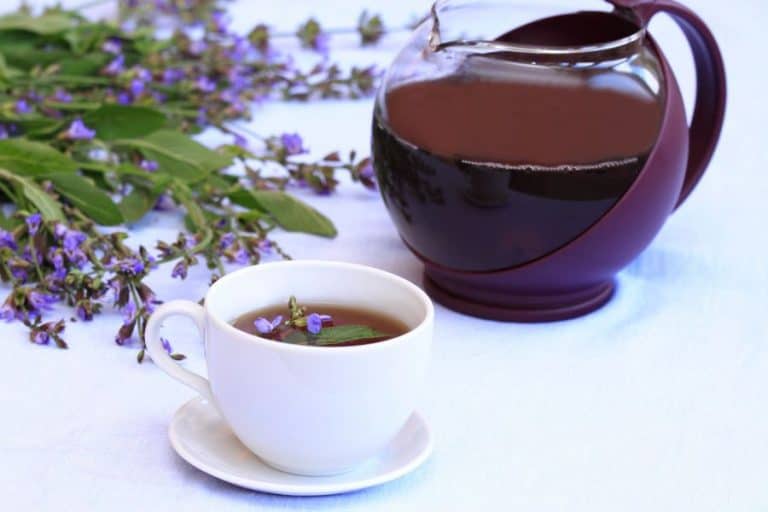 The Best Herbal Teas For Cold And Flu Season