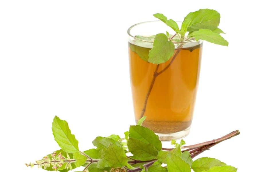 the-best-tea-for-histamine-intolerance-top-6-picks-understory-healing