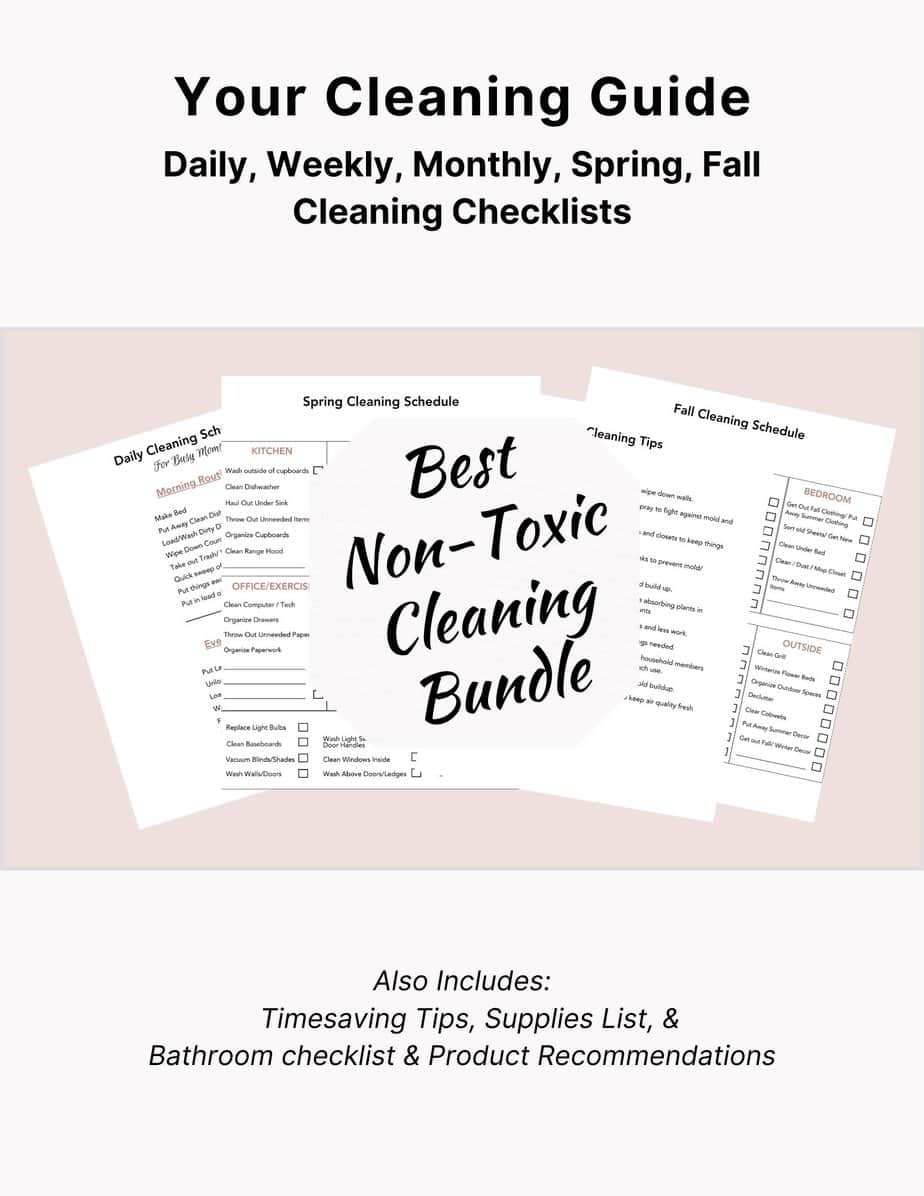 printable cleaning schedule for working moms
