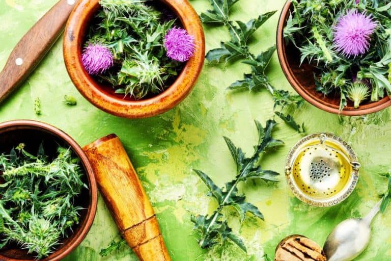 Best Herbs For Liver Repair, Support & Detox