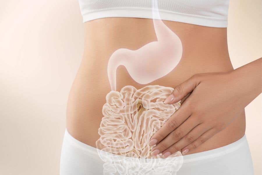 probiotics vs digestive enzymes