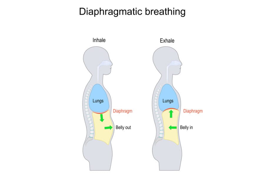 diaphragmatic breathing for digestion