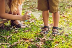 Natural outdoor bug repellent